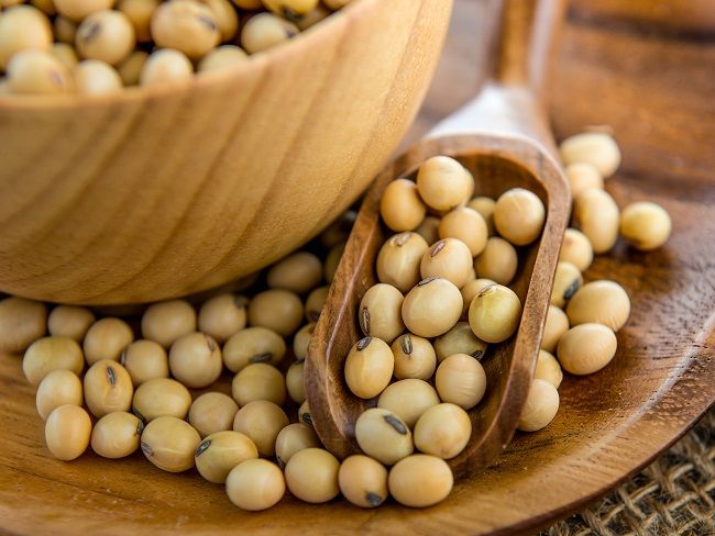 Global Market Trends & Demand Forecast for Iranian Soybean Seeds